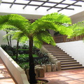 IMG 0929 Hotel en museum in 1 Hotel Santo Domingo