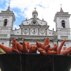 2005-08 Tegulcigalpa