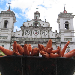 2005-08 Tegulcigalpa