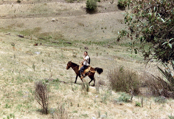 Benito paardrijden 1