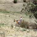 Benito paardrijden 2