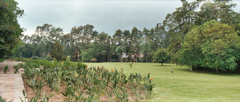 Jalapa Museo de antropologia garden