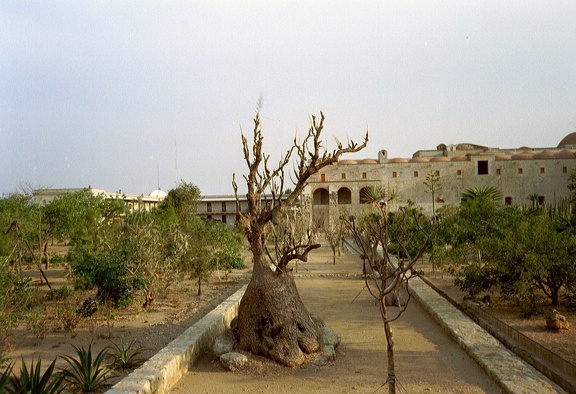 Oaxaca botanical garden