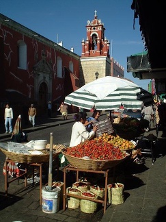 Oaxaca Fruit wpoerner