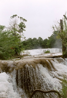 Palenque Agua Azul 1