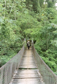 Palenque Agua Clara 4