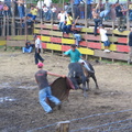 IMG 4269 Rodeo rijden elke gek mag