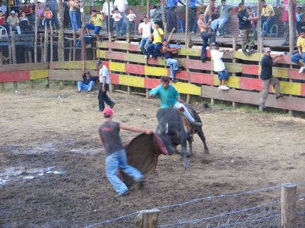 IMG 4269 Rodeo rijden elke gek mag