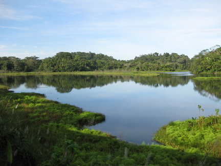 2008 Pan-Col 282 - Niet altijd strak langs het kanaal, ook langs jungle en moerassen