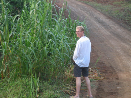 2008 Pan-Col 310 - Plassen in de Jungle