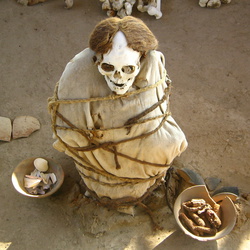 2006-06 Nazca