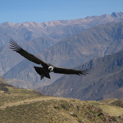 2006-07 Canon Del Colca