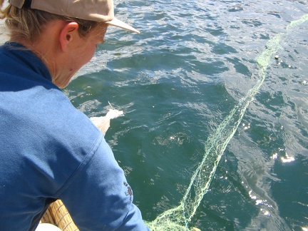 IMG 7972 Bas zet het net uit althans wat er op moet lijken