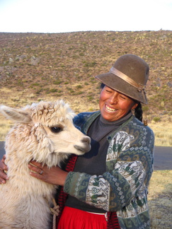 IMG 7895 Lieve vrouw met mannetjes alpaca