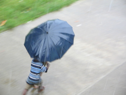 IMG 7201 Rennen door de Regen Yaviza