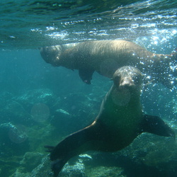 Best of Ecuador (2006