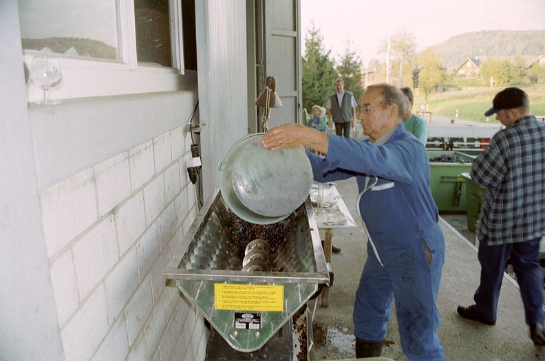 Druiven_wegbrengen_Velletjes_takjes_van_druivesap_scheiden.jpg