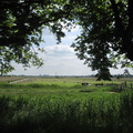 IMG 6900-35 - Uitzicht bankje bij Krommeniedijk