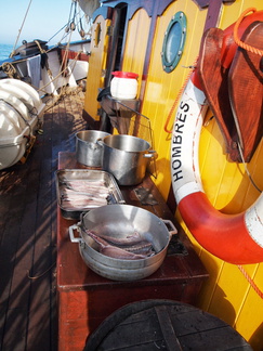 Tres Hombres Den Helder - Kopenhagen-044