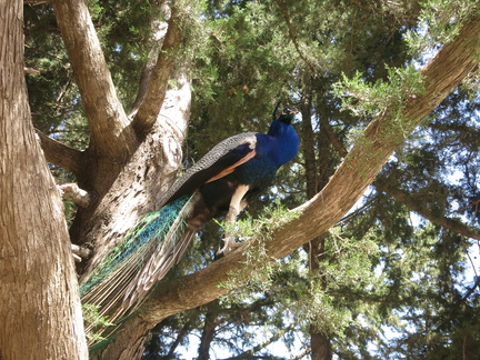 2015-06-18 100050 Rhodos