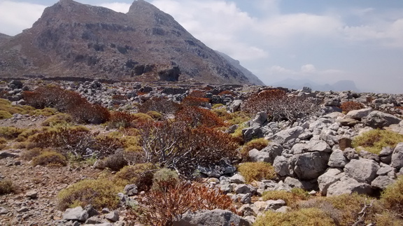 2015-06-29 114011 Karpathos