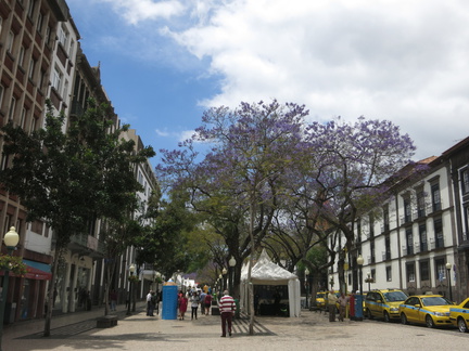 2016-05-15 144922 TresHombres Cascais Madeira