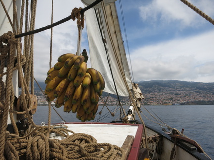 2016-05-16 133128 TresHombres Madeira LaPalma