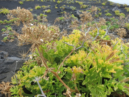 2016-05-25 135329 TresHombres LaPalma