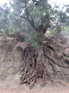 2016-05-25 194040 TresHombres LaPalma