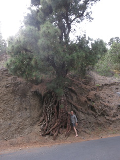 2016-05-25 194053 TresHombres LaPalma