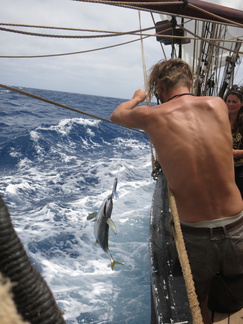 2016-06-05 164251 TresHombres LaPalma Grenada