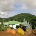 2016-06-21 141927 TresHombres Grenada