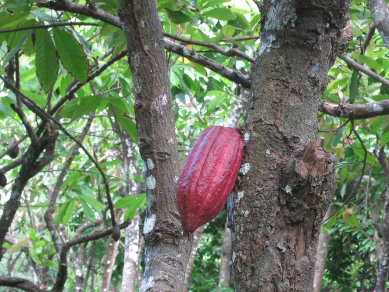 2016-06-21_221130_TresHombres_Grenada.jpg