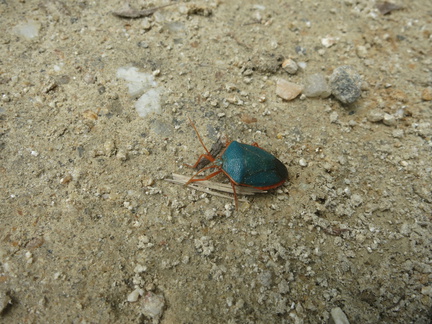 2016-07-03 140853 TresHombres SantaMarta and Minca