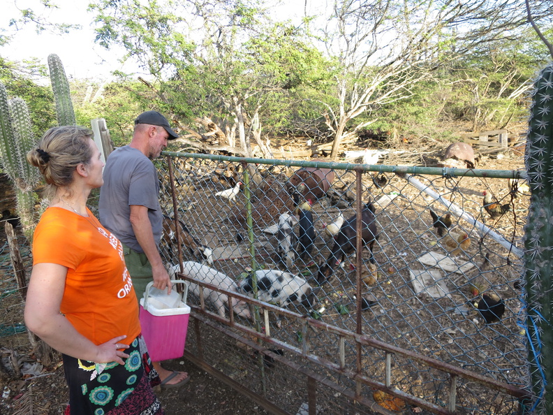 2017-03-30 224306 Bonaire