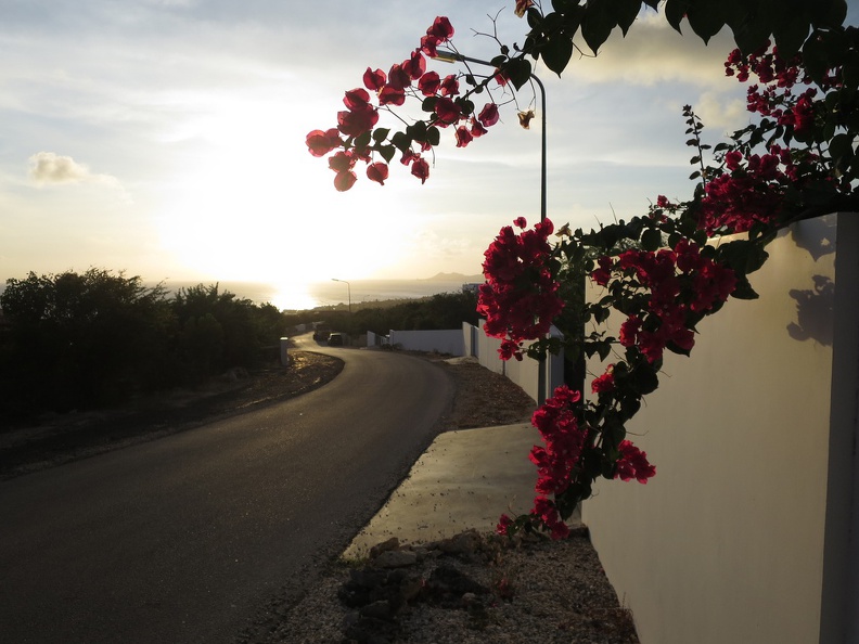 2017-03-30_231639_Bonaire.jpg