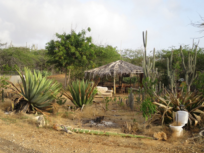 2017-04-02 224441 Bonaire