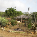 2017-04-02_224441_Bonaire.jpg