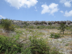 2017-04-06 180749 Bonaire