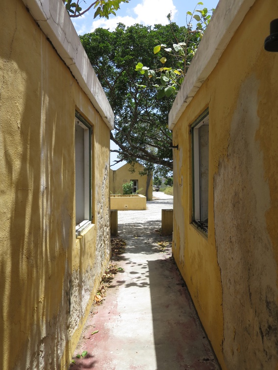 2017-04-06 181629 Bonaire