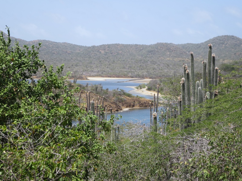 2017-04-06_183654_Bonaire.jpg