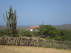 2017-04-06 194115 Bonaire