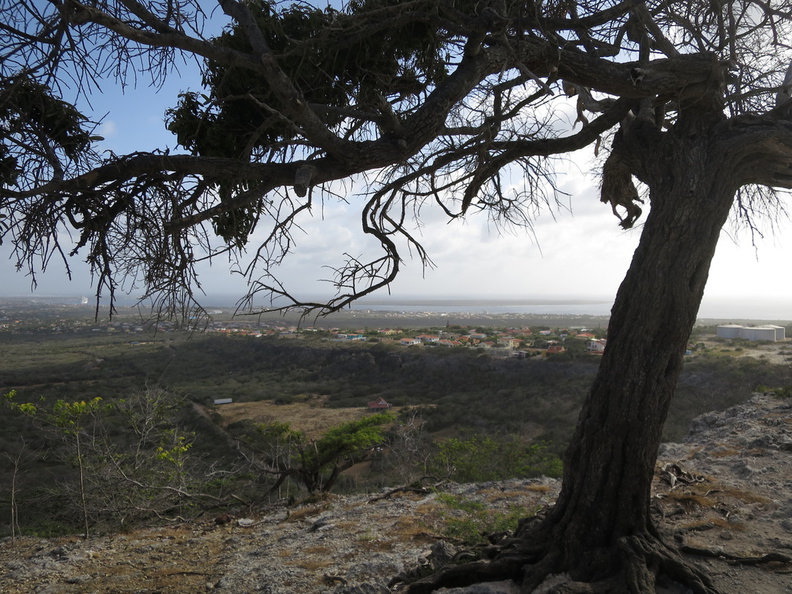 2017-04-06 215454 Bonaire