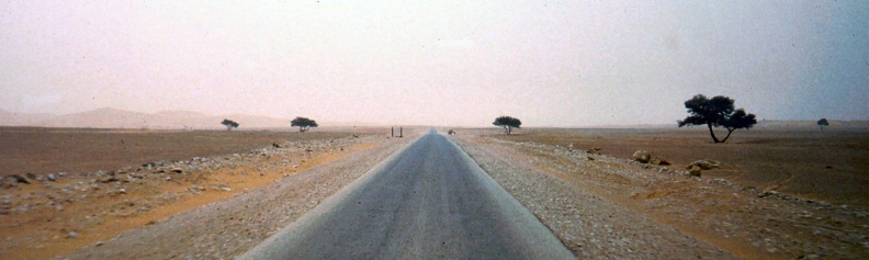 1990 Africa 0254.JPG