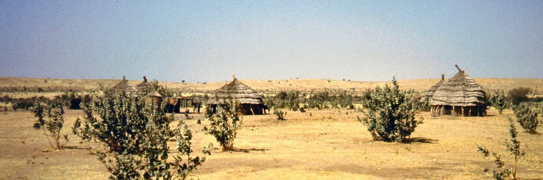 1990 Africa 0386.JPG