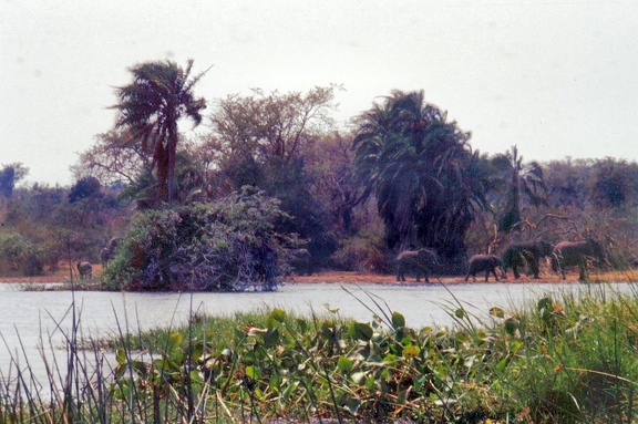 1990 Africa 0764