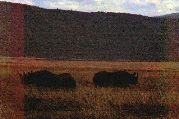1990 Africa 0850