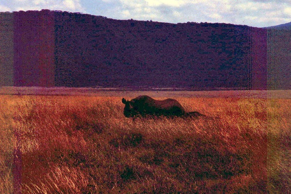 1990 Africa 0851