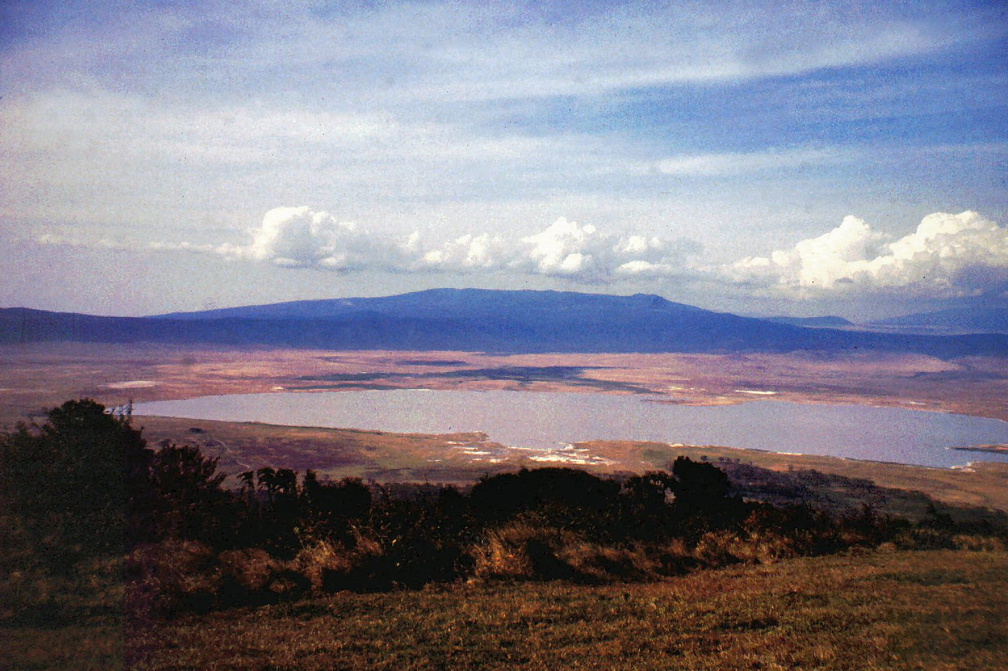 1990 Africa 0856