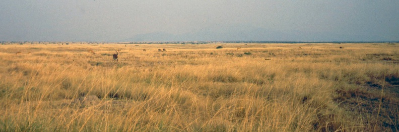 1990 Africa 0715.JPG